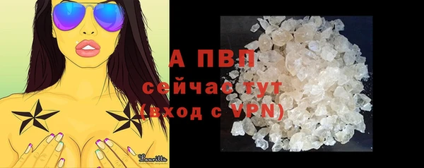 стаф Вяземский