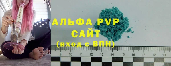 стаф Вяземский
