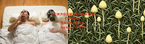 ешки Вязники