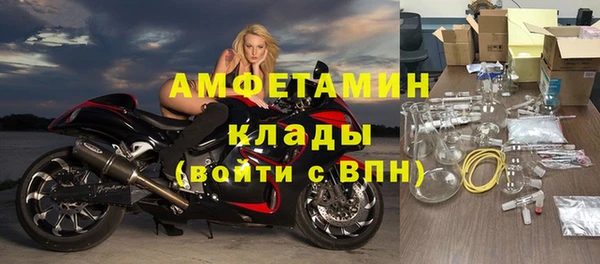 стаф Вяземский