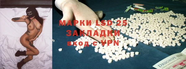 стаф Вяземский