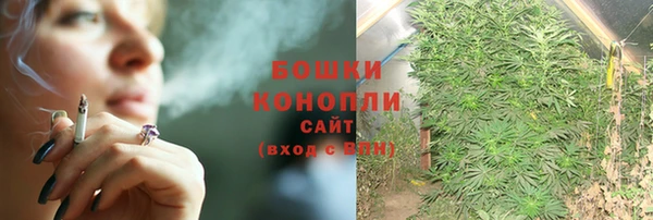 стаф Вяземский