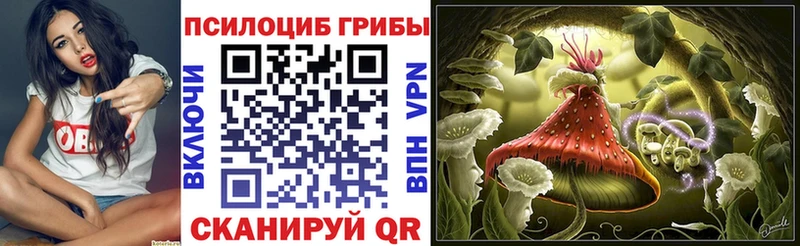 hydra ссылки  Дальнереченск  Галлюциногенные грибы мухоморы  наркошоп 